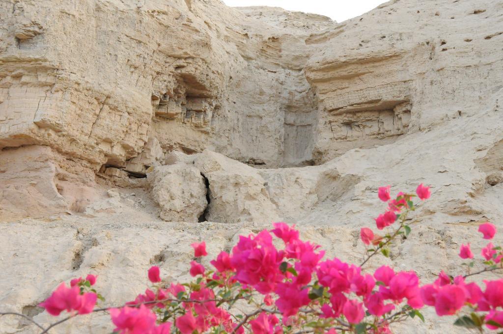 Dead Sea Dawn Vila Neot HaKikar Exterior foto
